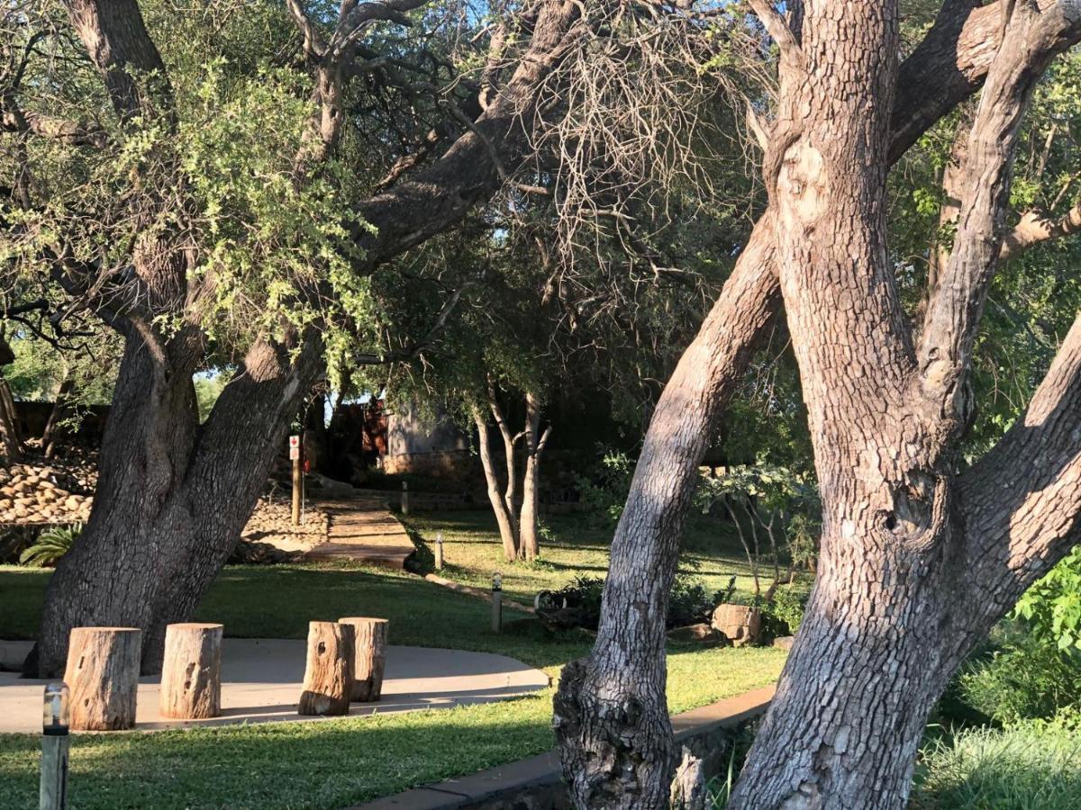 Emhosheni River Lodge Khu bảo tồn Khu bảo tồn Balule Game Reserve Ngoại thất bức ảnh