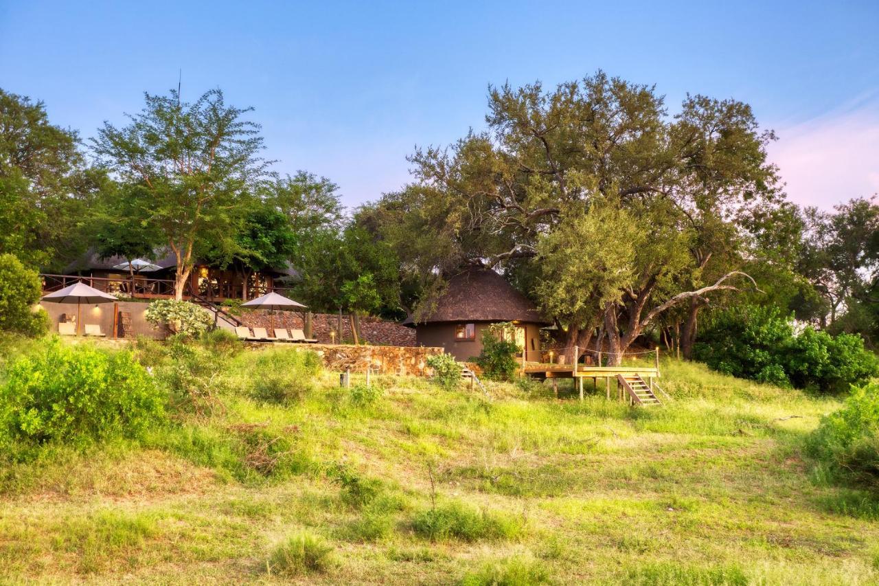 Emhosheni River Lodge Khu bảo tồn Khu bảo tồn Balule Game Reserve Ngoại thất bức ảnh